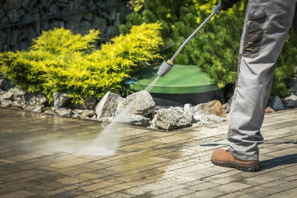 Animal Enclosure Cleaning in Reedurban, OH