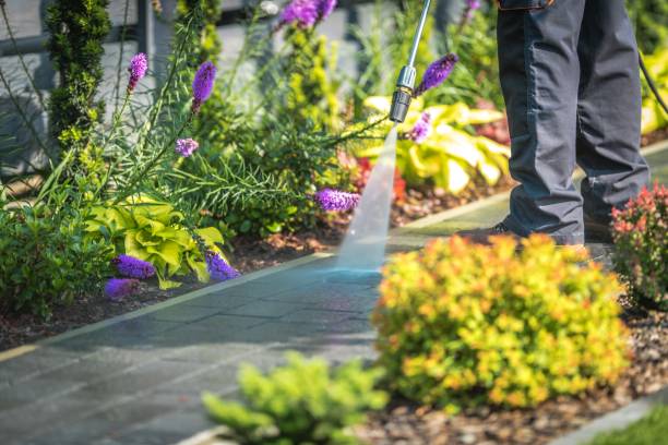 Best Patio and Deck Pressure Washing  in Reedurban, OH